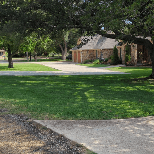 Lawn Maintenance